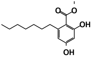 Benzoic acid 2 heptyl 46 dihydroxy methyl ester 6121 77 3