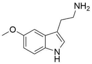 5 MethoxytryptamineCAS 608 07 1 2